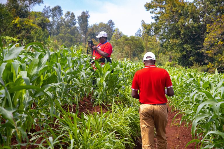 RGAE : la collecte du Module Agricole de Base Détaillé arrive à son terme